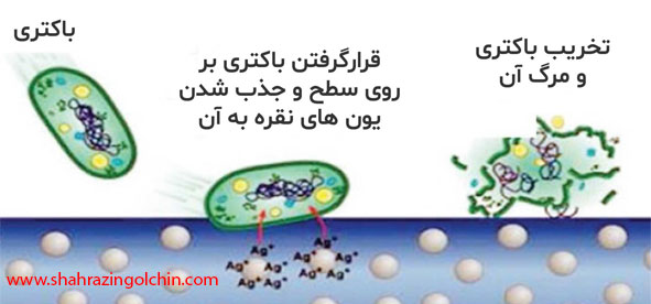 آنتی باکتریال